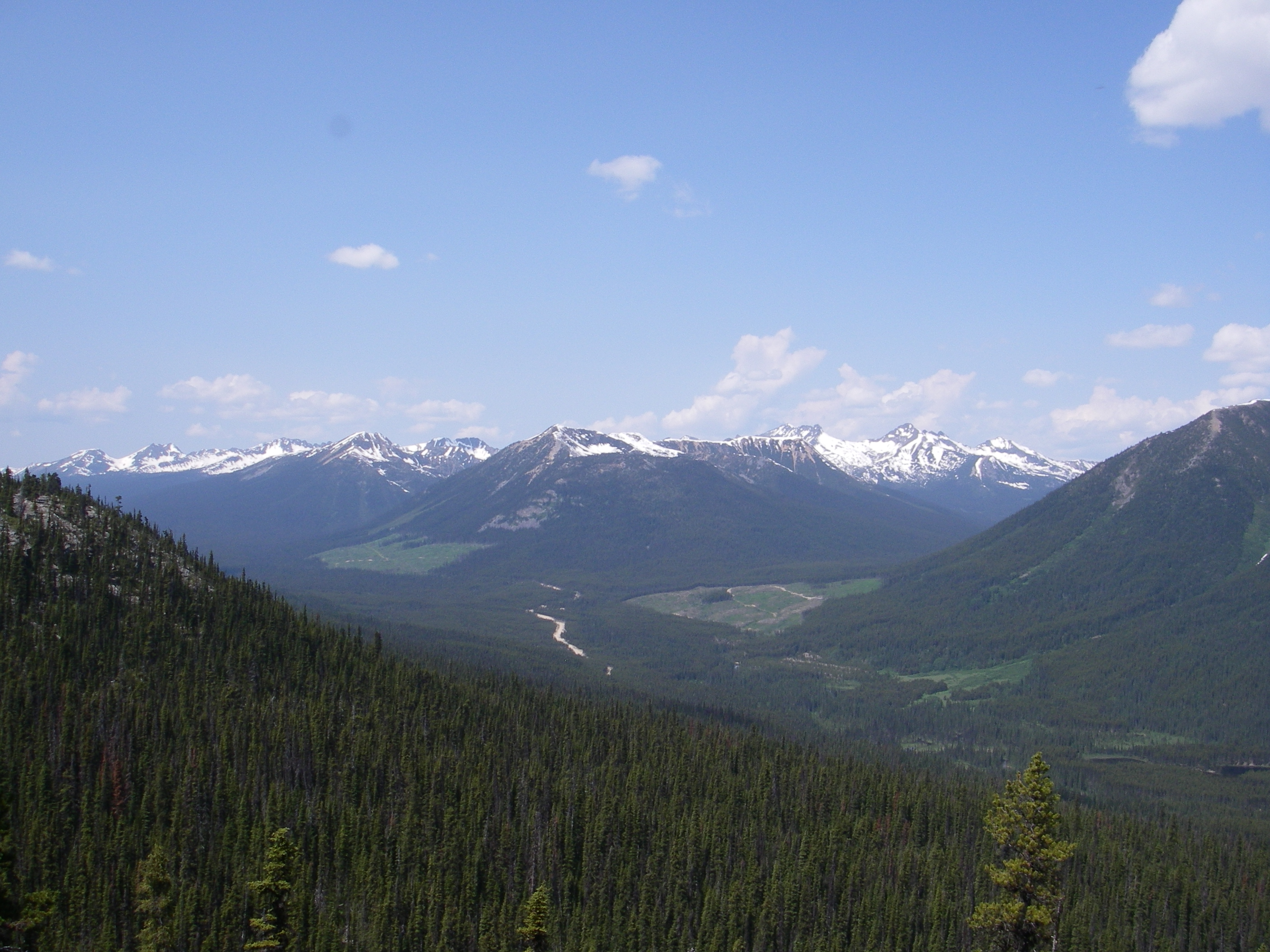 British Columbia alpine exploration terrain — snow-capped Cordilleran peaks above a forested valley