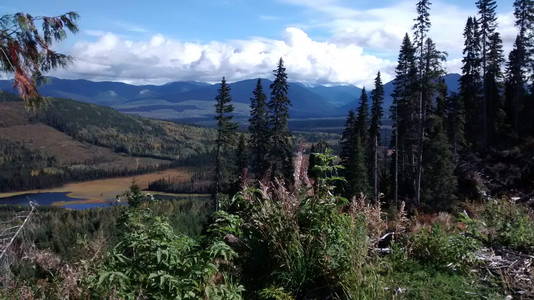 View northeast across the Bowron River valley from the CR property, September 2014
