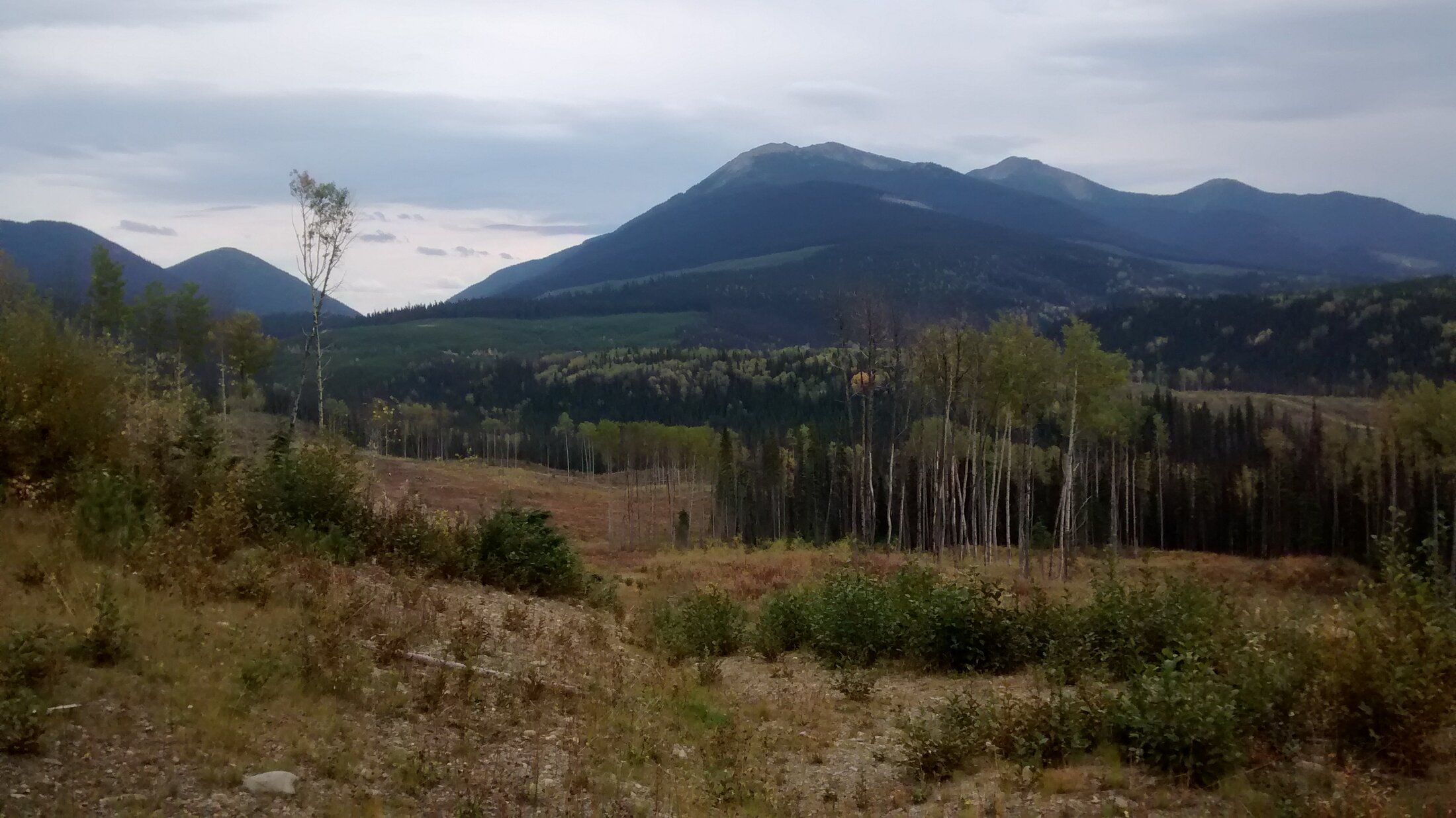 View toward the Lottie zone area on the Hedge Hog property near Wells, BC, September 2014