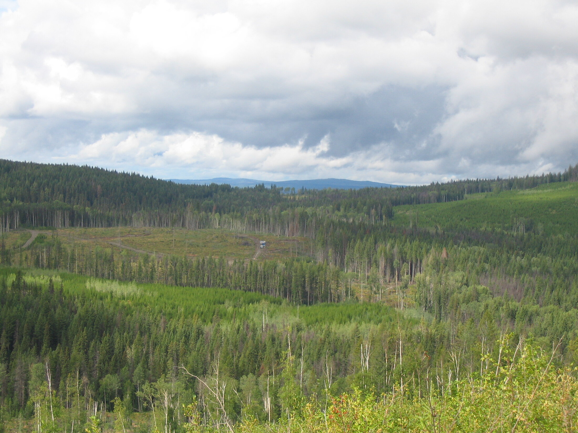 Rolling forested plateau terrain in central British Columbia