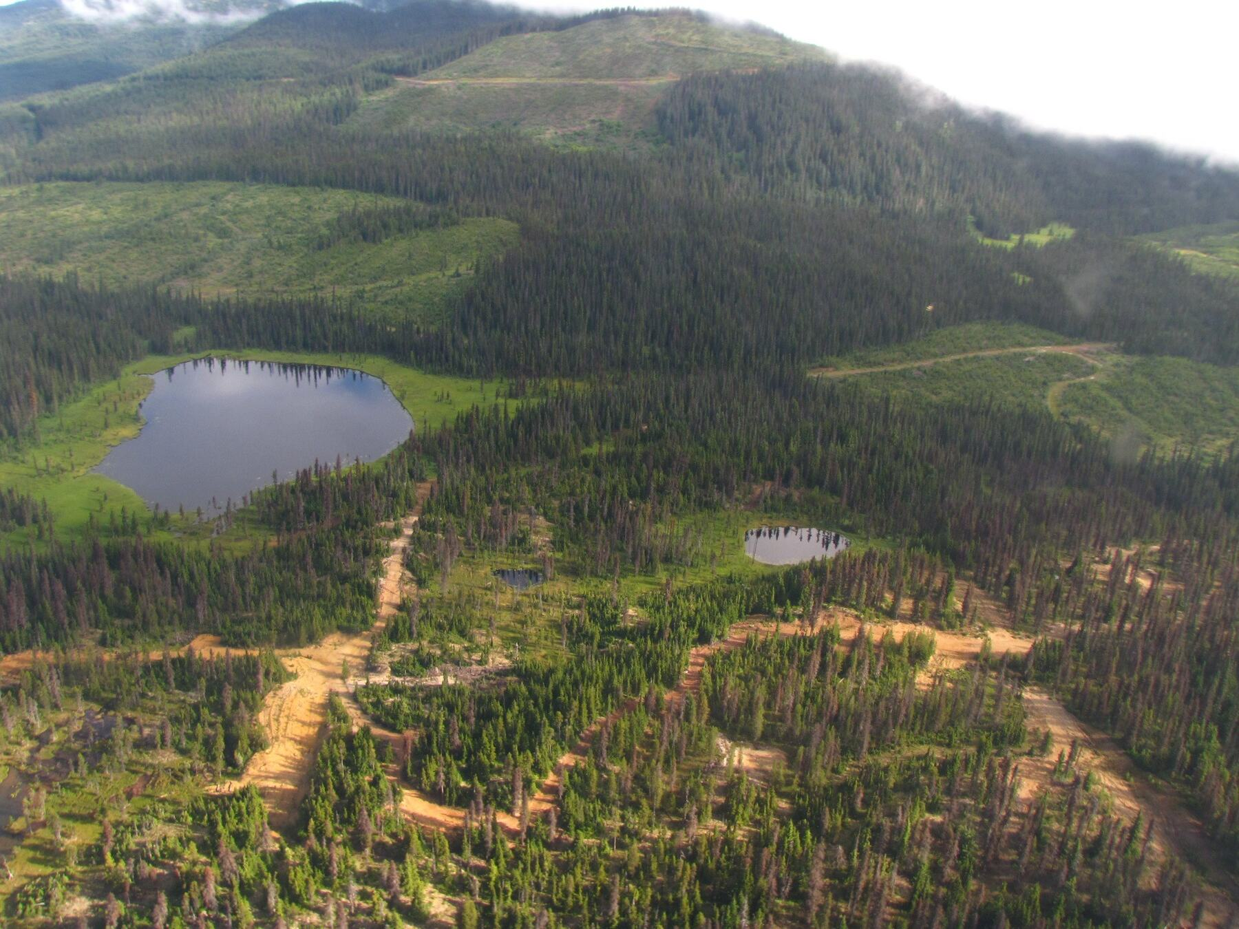 Aerial view of forestry roads, cutblocks and small lakes providing access to the Zymo property area